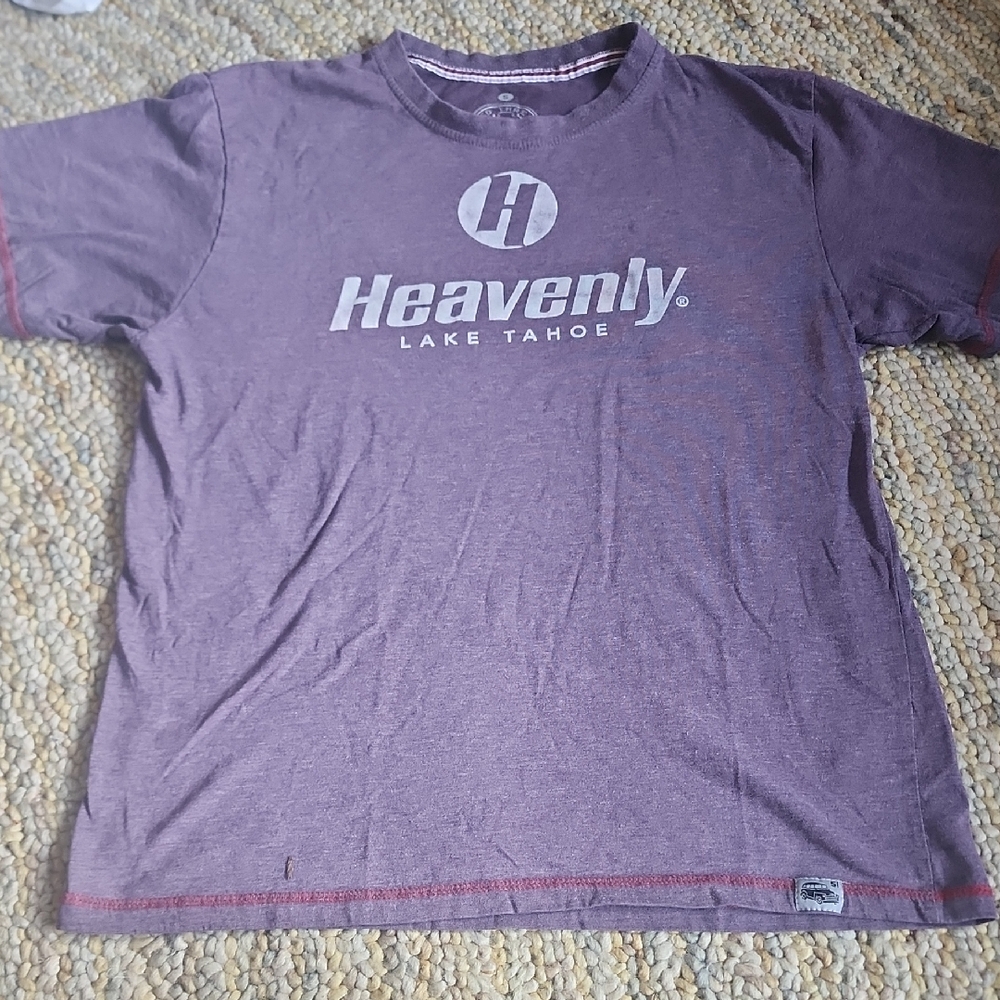 Lake Tahoe Purple Men's Shirt
